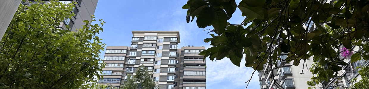 跨境电商域名查询网